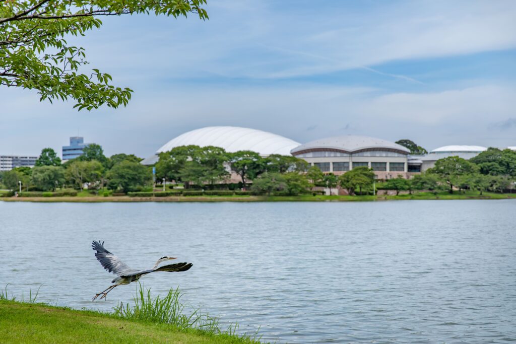 福岡市のベッドタウンである糟屋町のシンボルとして親しまれている駕与丁公園