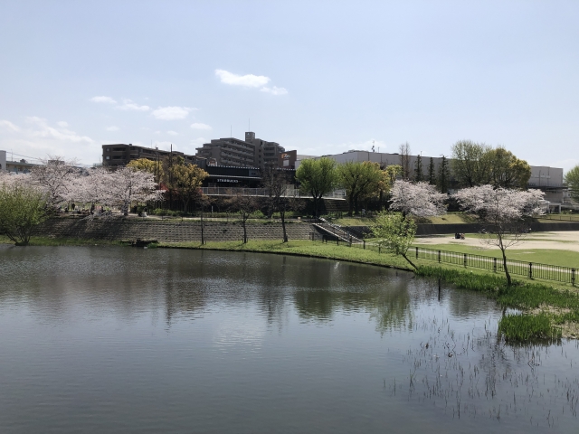 野間大池公園